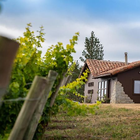 Bed and Breakfast Bungalow Miramar & Jeronimo At Casa Marin Vineyards Картахена Екстер'єр фото