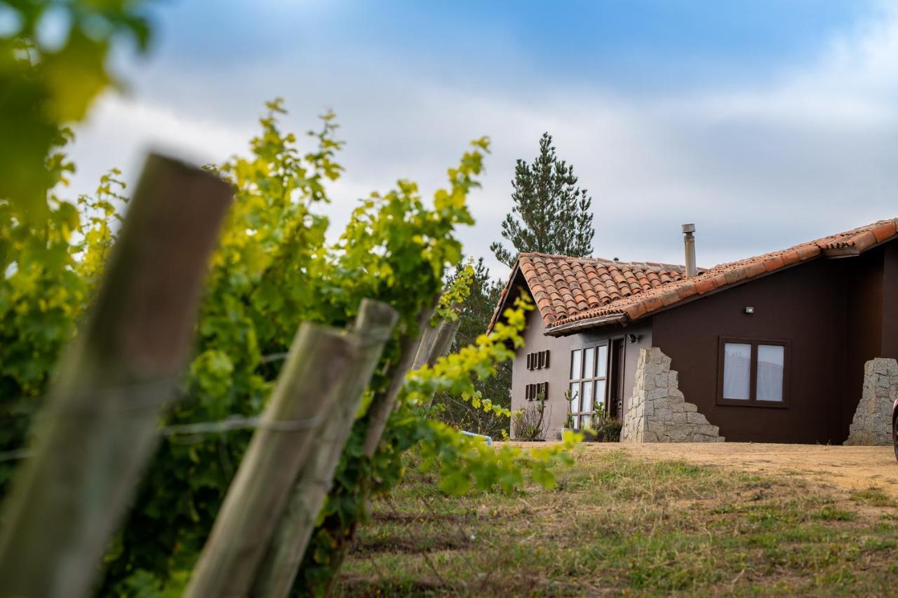 Bed and Breakfast Bungalow Miramar & Jeronimo At Casa Marin Vineyards Картахена Екстер'єр фото